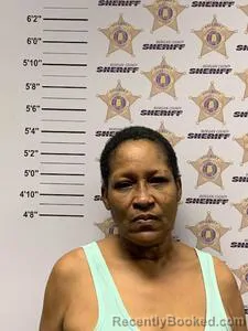 Mugshot of JACQUELINE EDWARDS MCDONALD