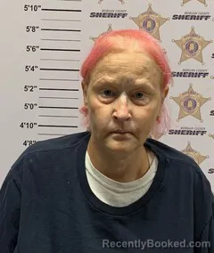 Mugshot of Jennifer Marie Johnson