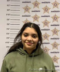 Mugshot of AMISADAY GARCIA