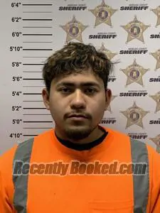 Booking photo from Morgan County, Alabama