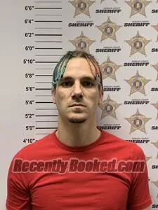 Booking photo from Morgan County, Alabama