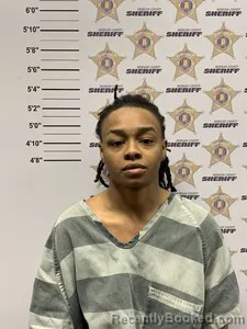 Mugshot of TENISE ROBINSON