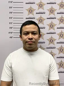 Mugshot of DARVIN JO CASTILLO-LORENZANA
