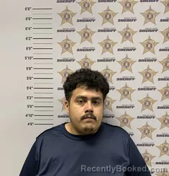 Mugshot of VINCENT NAMBO DOMINGUES