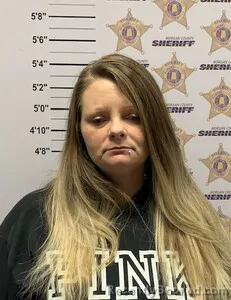 Mugshot of AMANDA LYNN BOYETTE