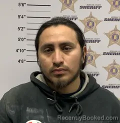 Mugshot of ENRIQUE FRANCISCO FRANCISCO