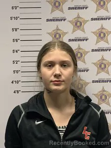 Mugshot of MADISON HOPE LEDLOW