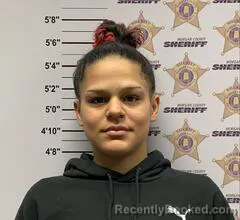 Mugshot of ANGEL MARIE JENKINS