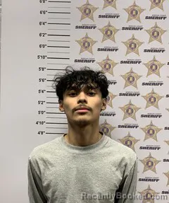 Mugshot of ORLIN ALEXANDER JR VARGAS booked in Morgan County, Alabama on March 7, 2026