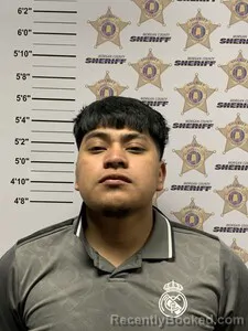 Mugshot of DOMINGO HERNANDEZ