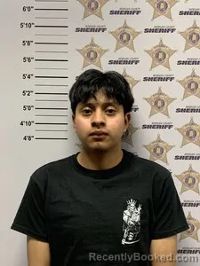 Mugshot of VICTOR MANUEL TINO