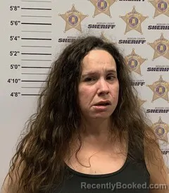 Mugshot of JANA ELISE ANDERSON booked in Morgan County, Alabama on March 30, 2026