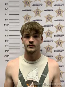 Mugshot of COLTON CHANCE WOODS booked in Morgan County, Alabama on April 2, 2026