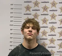 Mugshot of JOSEPH ANDREW SHEDD booked in Morgan County, Alabama on April 4, 2026