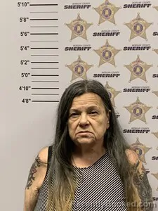 Booking photo from Morgan County, Alabama