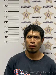 Mugshot of PABLO PEREZ booked in Morgan County, Alabama on June 28, 2026