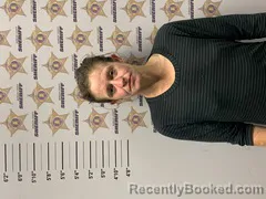 Mugshot of ALLISON REAGAN booked in Morgan County, Alabama on July 6, 2026