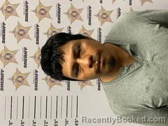 Mugshot of LUCIANO MAYIC MATEO booked in Morgan County, Alabama on July 14, 2026