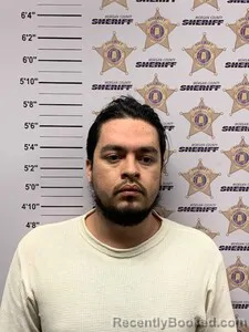 Mugshot of Walter Anselmo Rosa Menjivar booked in Morgan County, Alabama on August 18, 2026