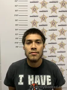 Mugshot of Alexis Chavez Ramirez booked in Morgan County, Alabama on August 24, 2026