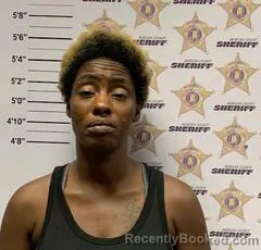Mugshot of Princess Myeishia Anderson booked in Morgan County, Alabama on August 26, 2026