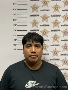Mugshot of Baltazar Vargas Ramirez booked in Morgan County, Alabama on August 26, 2026