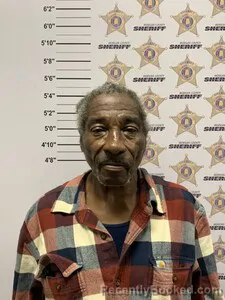 Mugshot of WILLIE LEE JR DRISKELL