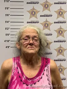Mugshot of Marcilea Irron Craig booked in Morgan County, Alabama on August 25, 2026