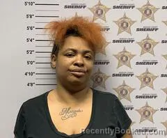 Mugshot of TEMEKA LACHEL SEARS WILLARD booked in Morgan County, Alabama on April 2, 2026