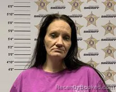 Booking photo from Morgan County, Alabama