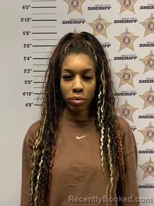 Mugshot of CEARRI LECHELLE LEWIS booked in Morgan County, Alabama on July 6, 2026