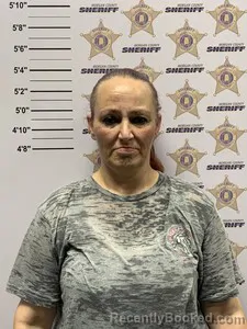 Mugshot of SHANNA LYNN WIMBS booked in Morgan County, Alabama on May 23, 2026