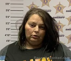Mugshot of DAMETRA ANN SUGGS