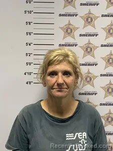 Mugshot of ASHLEY B HYDE booked in Morgan County, Alabama on July 20, 2026