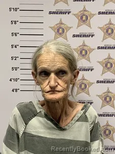 Mugshot of KERRI NICOLE HILL booked in Morgan County, Alabama on July 8, 2026