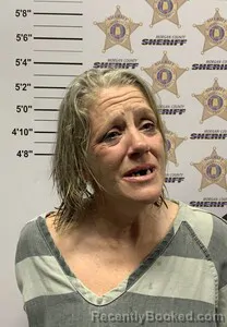 Mugshot of HELEN ANN WALLACE booked in Morgan County, Alabama on March 24, 2026