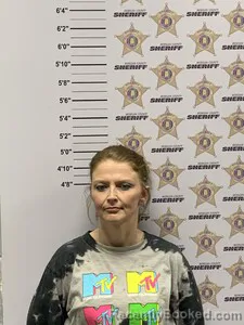 Mugshot of BRITTANY MICHELLE PARKER