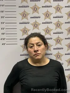 Mugshot of ANGELICA VILLALOBOS booked in Morgan County, Alabama on May 10, 2026