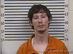 Mugshot of DONAVON CABINESS