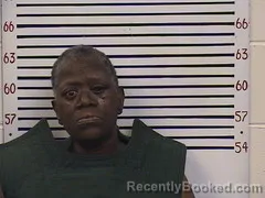 Mugshot of ELIZABETH MULLINS