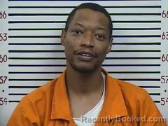 Mugshot of RYAN WRIGHT