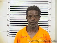Booking photo from Pickens County, Alabama