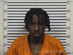 Mugshot of TY'KAVEN WILDER