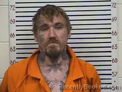 Mugshot of MICHAEL STOUT