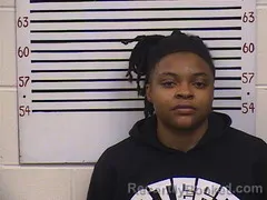 Mugshot of Rokia Lee booked in Pickens County, Alabama on March 29, 2026