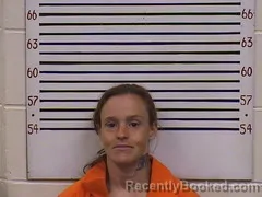 Mugshot of MICHELLE HOWARD booked in Pickens County, Alabama on March 31, 2026