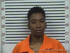 Mugshot of APRIL GIBSON booked in Pickens County, Alabama on April 17, 2026