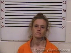 Mugshot of MICHELLE HOWARD booked in Pickens County, Alabama on May 22, 2026