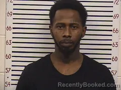 Mugshot of Michael Jordan booked in Pickens County, Alabama on June 13, 2026