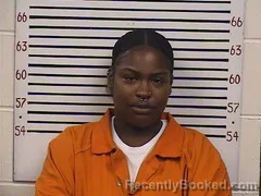 Mugshot of BRIAMBER HOPKINS booked in Pickens County, Alabama on July 7, 2026